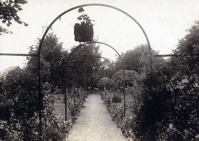 Kaarst, Am Alten Dorf, Der Weg durch ein Rosenspalier zur Gartenwirtschaft um 1900